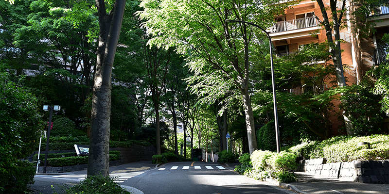造園工事とは